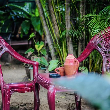 Green Grass Homestay Sigiriya Buitenkant foto