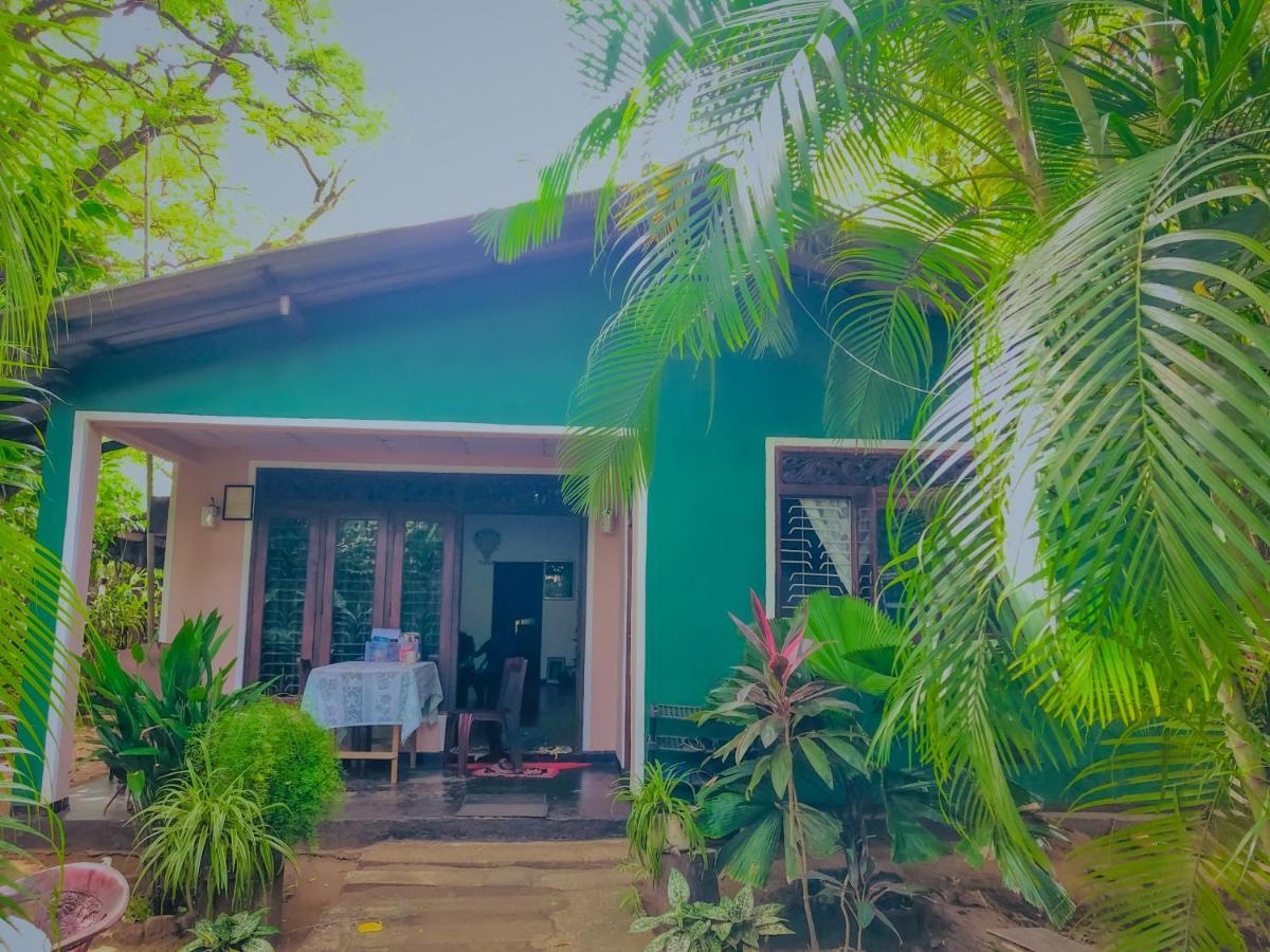 Green Grass Homestay Sigiriya Buitenkant foto