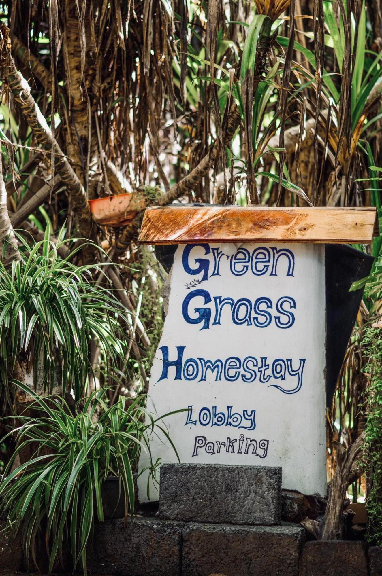 Green Grass Homestay Sigiriya Buitenkant foto