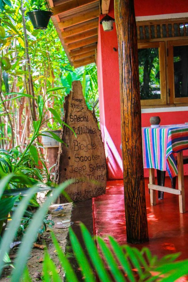 Green Grass Homestay Sigiriya Buitenkant foto