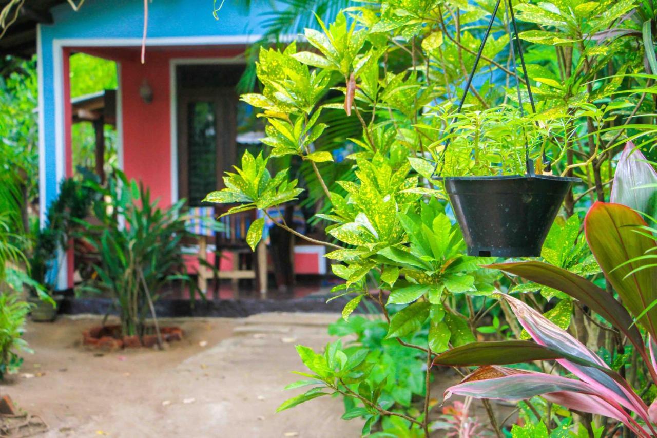 Green Grass Homestay Sigiriya Buitenkant foto